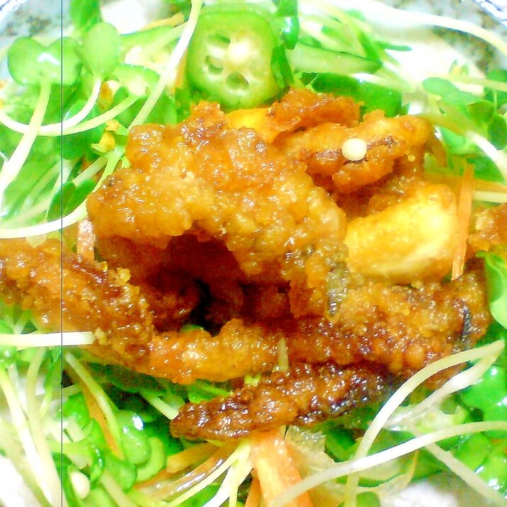 揚げ物には野菜も一緒に イカ下足サラダ レシピ 作り方 By 桐葉かえで 楽天レシピ 揚げ物には野菜も一緒に イカ下足サラダ レシピ 作り方 By 桐葉かえで 楽天レシピ